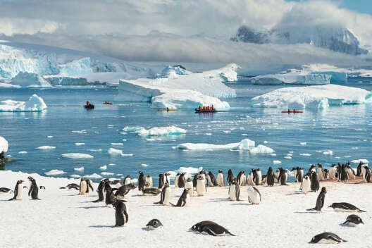В Антарктиде теплее, чем в Украине: на ледяном континенте новый рекорд-1200x800