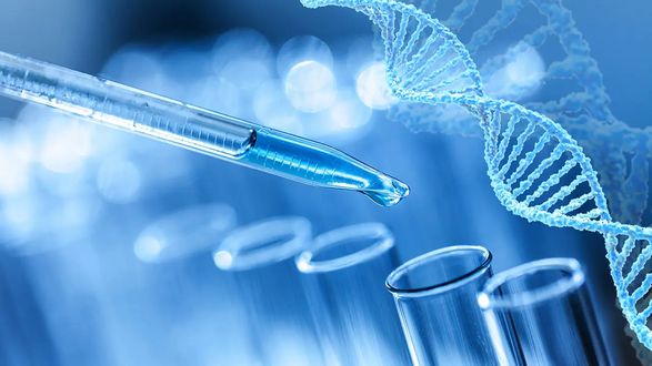 BioNTech и OncoC4 объявили о многообещающих результатах испытаний антител против рака легких